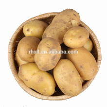 оптом картофель свежий картофель цена 20кг мешки 